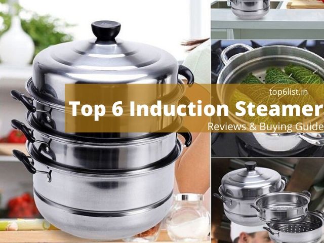 Top 6 Induction Steamers in India for 2024 | Reviews